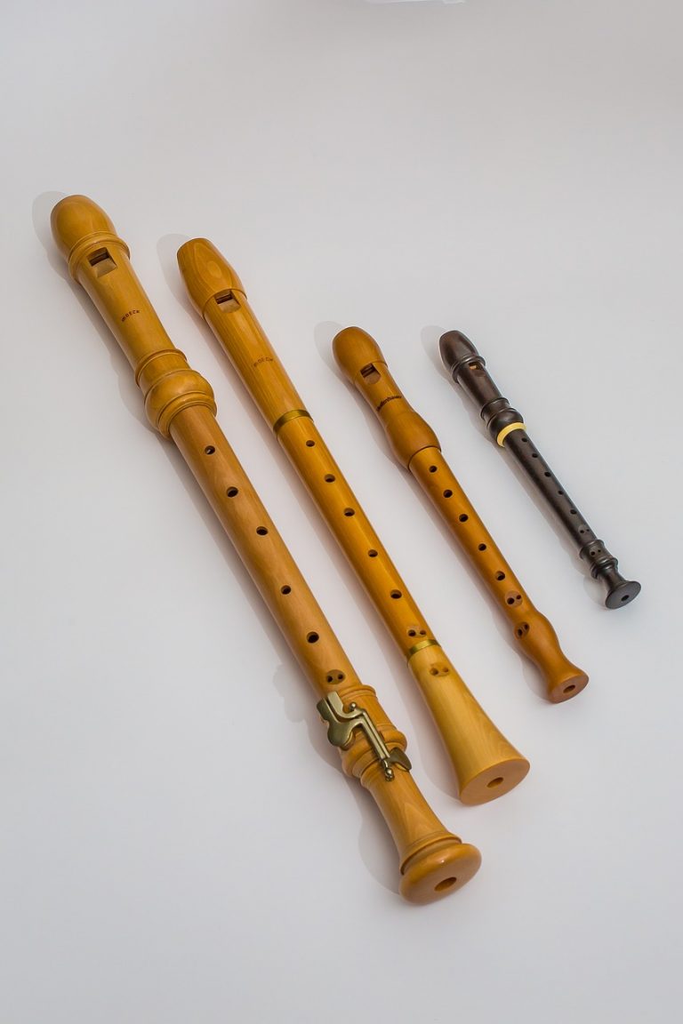 Blockfl te Und Tin Whistle Urige Kl nge